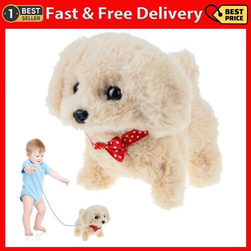 Toy dogs for - year, old