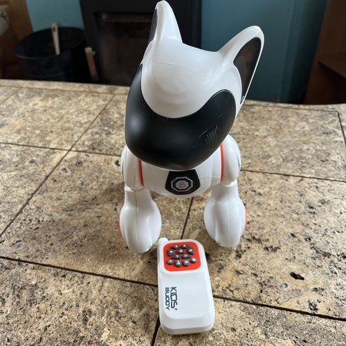 Remote control robot - remote, smart