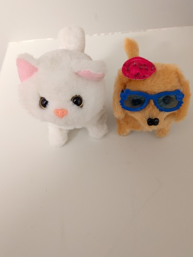 Kitten and puppy battery - and,