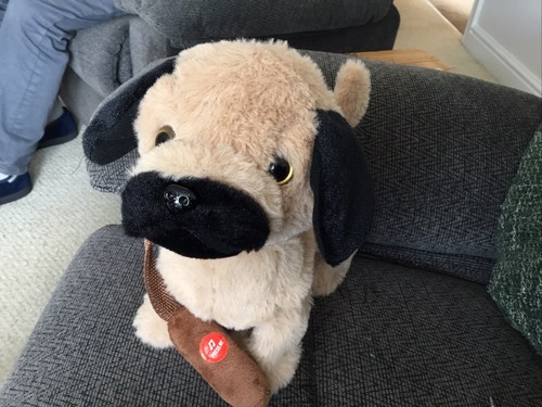 Dancing waggle pug interactive - waggle,