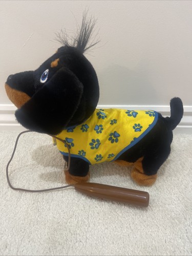 Pitter patter pets - pitter,
