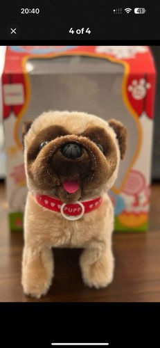 Cute dog walking barking - walking,