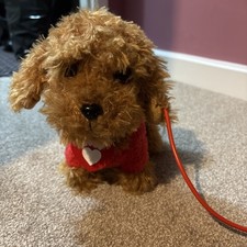 Walkies Waffle The Wonder Dog