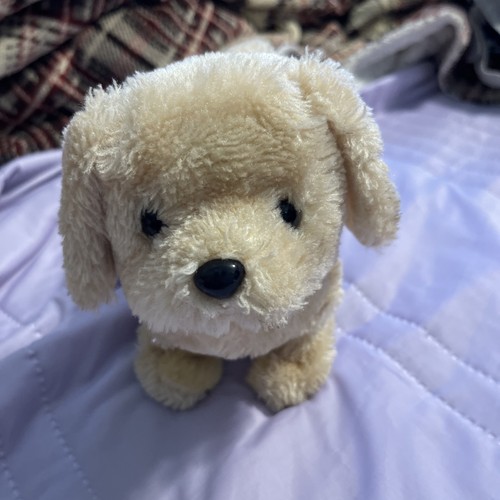 Pitter patter pets small brown - patter,