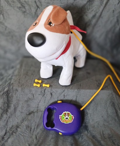 Walking puppy pet birthday - pet,