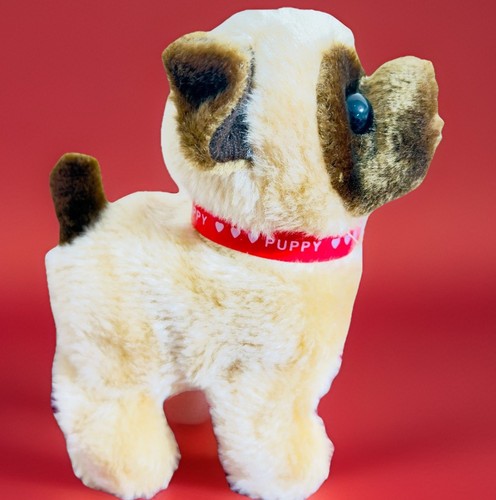 Cute dog walking barking - walking,